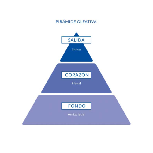 Aire de Sevilla - Eau de toilette per donna 150ml - Fiori d'arancio