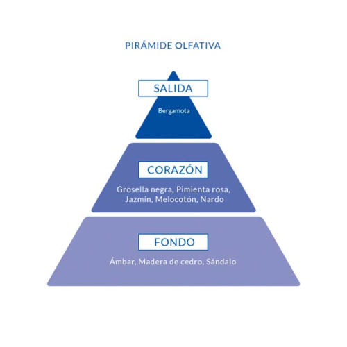 Aire de Sevilla - Eau de toilette per donna 150 ml - Chicca Bonita