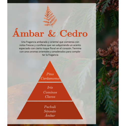 AMBAR Perfums - *Zen* - Spray deodorante per ambienti - Intensità: Ambra e Cedro