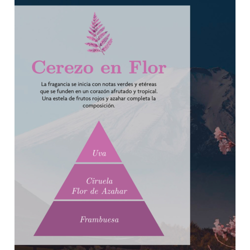 AMBAR Perfums - *Zen* - Spray deodorante per ambienti - Rebirth: Blossom Cherry