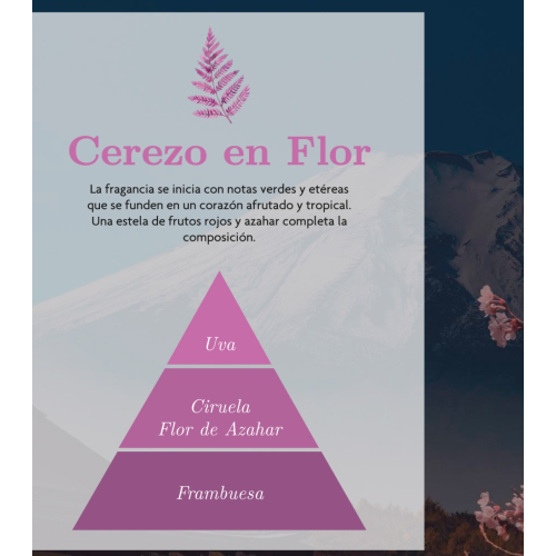 AMBAR Perfums - *Zen* - Deodorante per ambienti Mikado - Rebirth: Fiore di ciliegio