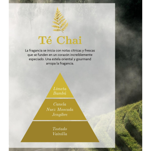 AMBAR Perfums - *Zen* - Essenza idrosolubile - Attivazione: Tè Chai