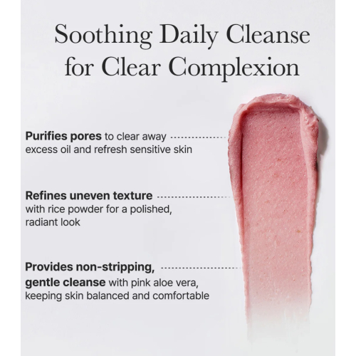 Arencia - Detergente viso Fresh Rosehip Mochi