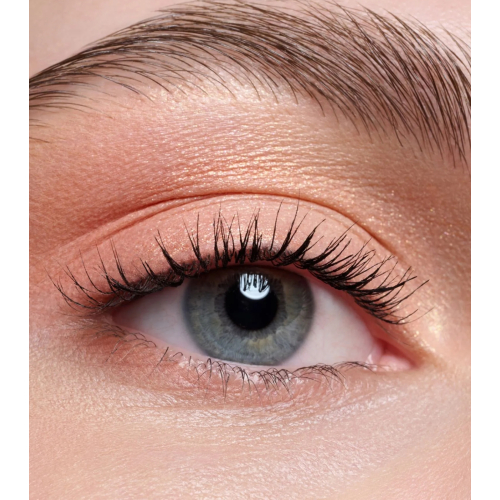 Catrice - Palette di ombre per occhi The Warm Honey