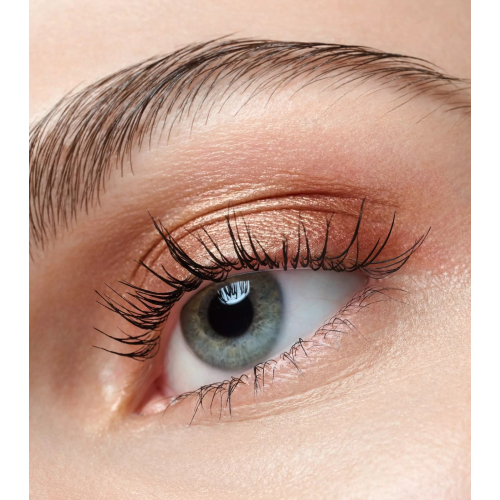 Catrice - Ombretto Art Couleurs - 440: Bronze Bliss