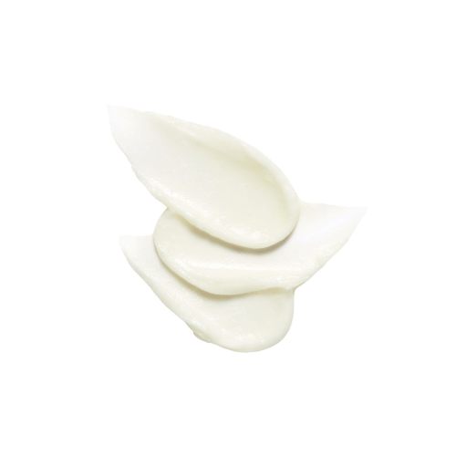 Cell Fusion C - Crema solare in stick SPF50+ PA++++ Aquatica