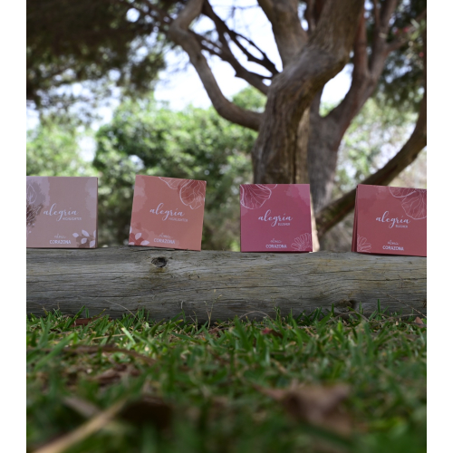 CORAZONA - *Collezione Alegría x Alma* - Blush in polvere - Bocao
