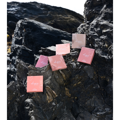 CORAZONA - *Collezione Alegría x Alma* - Blush in polvere - Bocao