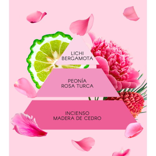 Don Algodon - Eau de toilette da donna - La Vie en Rose