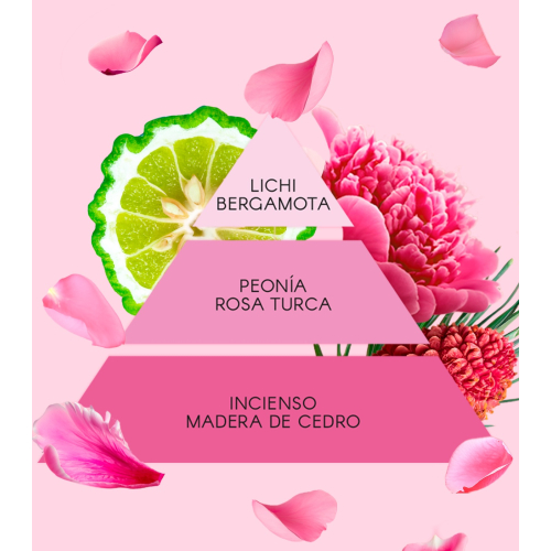 Don Algodon - Set regalo La Vie en Rose