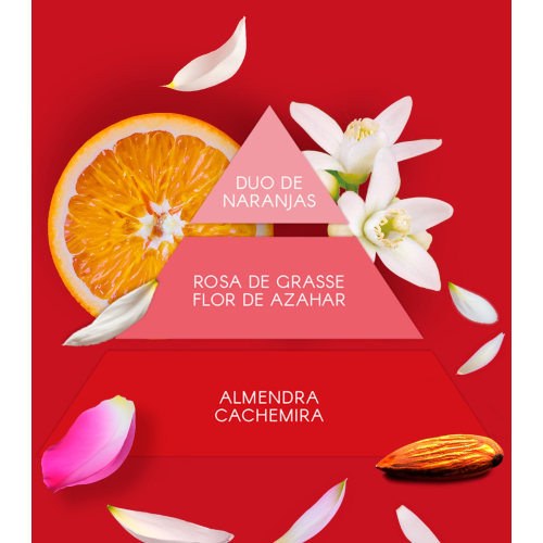 Don Algodon - Set regalo Red Party