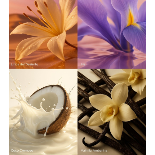 Don Algodon - Cofanetto Eau de parfum 100ml + 30ml - Mujer