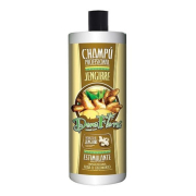 Dona Flora - *Ginger* - Shampoo stimolante allo zenzero