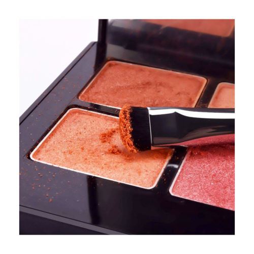 Eigshow - Pennello per dettagli E806