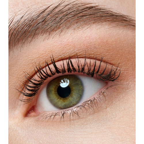 essence - Mini palette di ombretti the BROWN edition