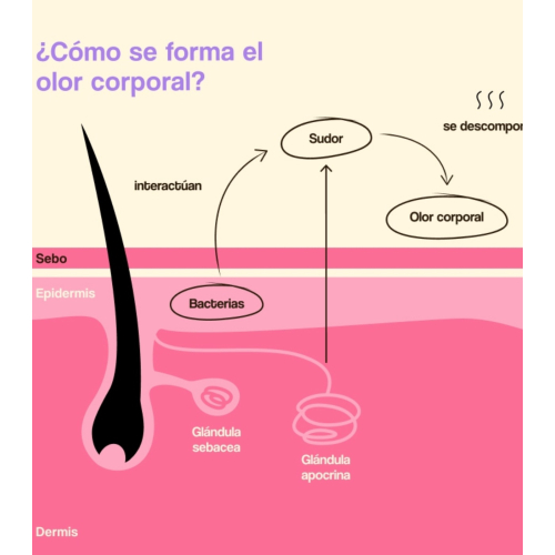 Freshly Cosmetics - Deodorante naturale senza alluminio