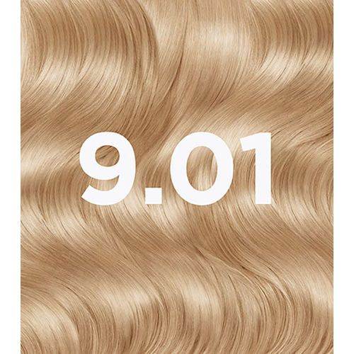 Garnier - Colorazione permanente senza ammoniaca Buono - 9.1: Biondo Vaniglia