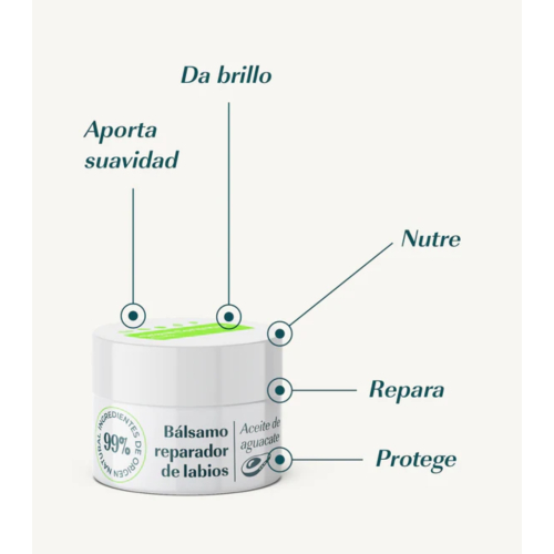 Green Cornerss - Balsamo labbra riparatore con avocado