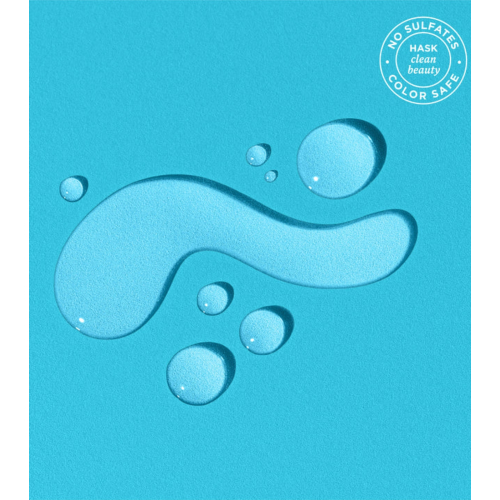 Hask - Olio riparatore per capelli Argan Oil - 100ml