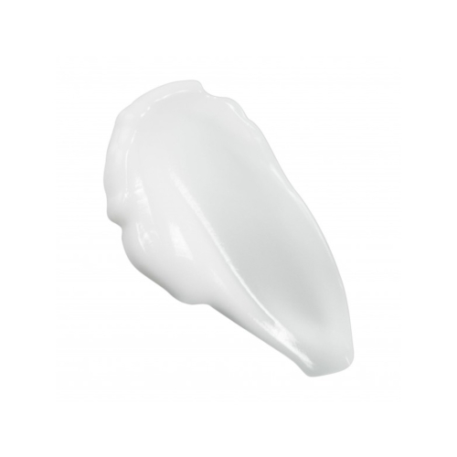 Hyeja - Crema idratante viso Vegan Rice Probiotics Gentle Ferment