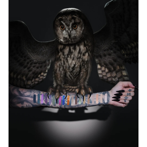 Jeffree Star Cosmetics - Palette di ombretti Night Owl