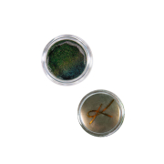 Karla Cosmetics - Pigmenti liberi duochrome - Story Time