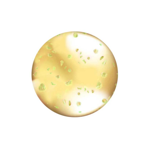 L.A Colors - Lucidalabbra Holographic Lip Oil - CLG442: Hunnybun