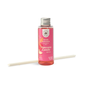 La Casa de los Aromas - Ricarica per deodorante per ambienti Mikado 100ml - Mela e Cannella
