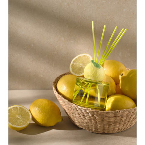 La Casa de los Aromas - *Reed Diffuser* - Deodorante per ambienti Mikado - Citrus Paradise