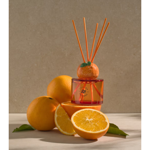 La Casa de los Aromas - *Reed Diffuser* - Deodorante per ambienti Mikado - Orange Twist