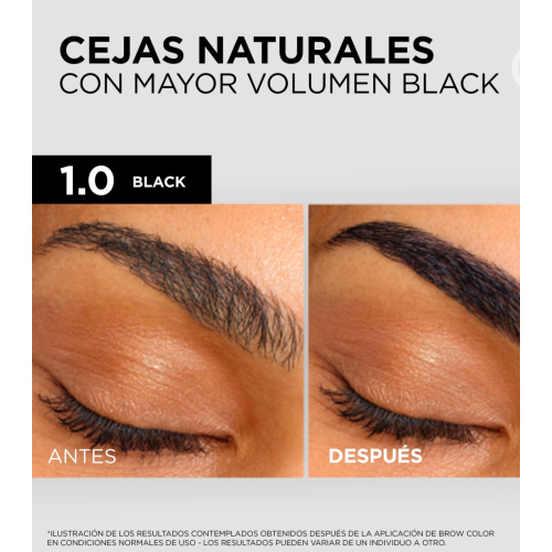 Loreal Paris - Tinta semipermanente per sopracciglia Brow Color - 1.0: Black