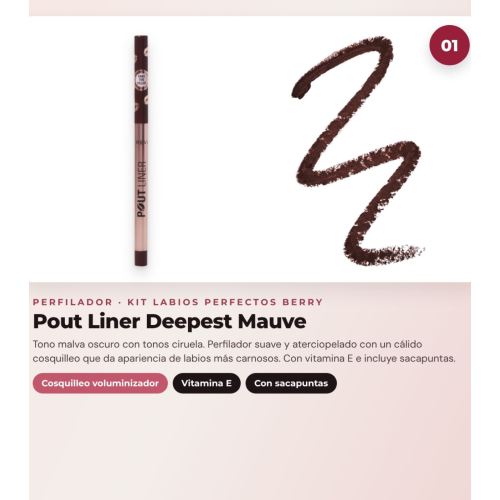 Makeup Revolution - Set di Profilo Labbra Pout Liner - Deepest Mauve + Rossetto satinato Lip Allure - Material Girl Wine + Olio labiale in stick Jelly - Watermelon Crush Red