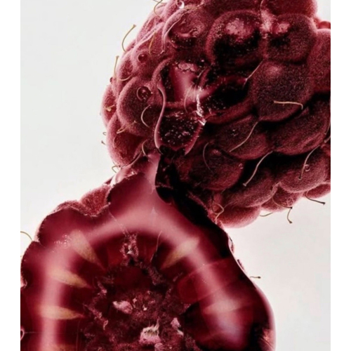 Maria Orbai - Lucidalabbra Glossy Lip Butter - Açai Berry