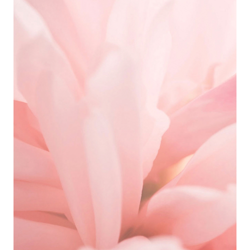 Maria Orbai - Blush balsamo Tinted Cheek Balm - Blushed