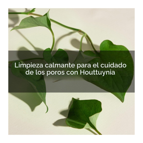 Mary & May - Detergente viso in schiuma purificante Houttuynia Cordata + Tea Tree