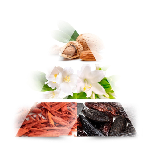 ONE AVENUE - Eau de parfum - Jasmine