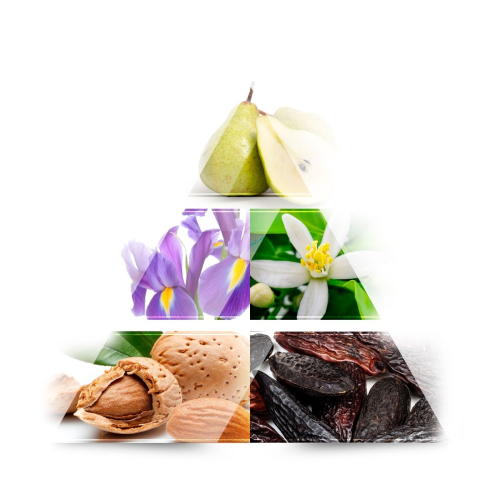 ONE AVENUE - Eau de parfum - Peony