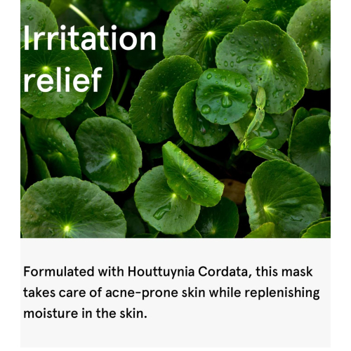 One Thing - Maschera viso lenitiva Houttuynia Cordata