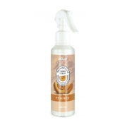 Prady - Deodorante spray per ambienti 220 ml - Pumpkin