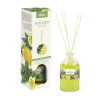 Prady - Deodorante per ambienti Mikado - Limone e menta piperita