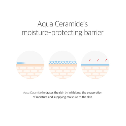 Round Lab - 365 Protezione solare lenitiva Derma Relief SPF 50+ PA++++