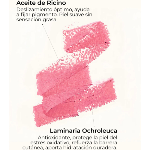 SEGLE - Blush in stick con SPF50+ - Toasted Kiss