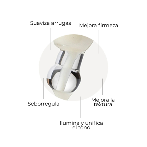 SEGLE - Pacchetto anti-età Well Aging Set