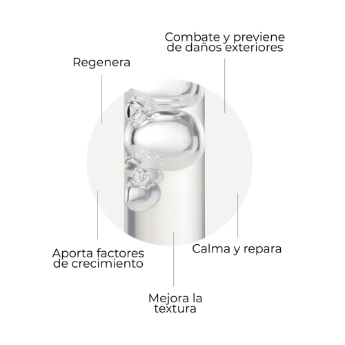 SEGLE - Siero viso rigenerante antietà Skin Factor - Pelle sensibile