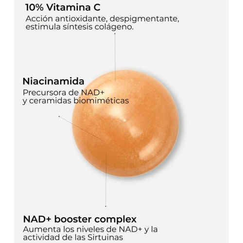 SEGLE - Siero viso antiossidante Antiox NAD+