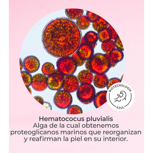 SEGLE - Siero viso effetto flash lifting DMAE LIFT 10