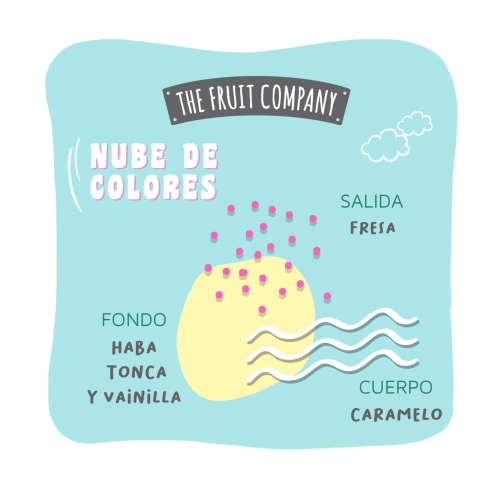 The Fruit Company - *Candy Shop* - Deodorante per ambienti Mikado - Nuvola colorata