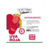 The Fruit Company - Lozione per il corpo nutriente Vitamin+ - Uva rossa