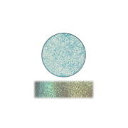 The Pastel Roses - Ombretto singolo Duochrome - Seashell