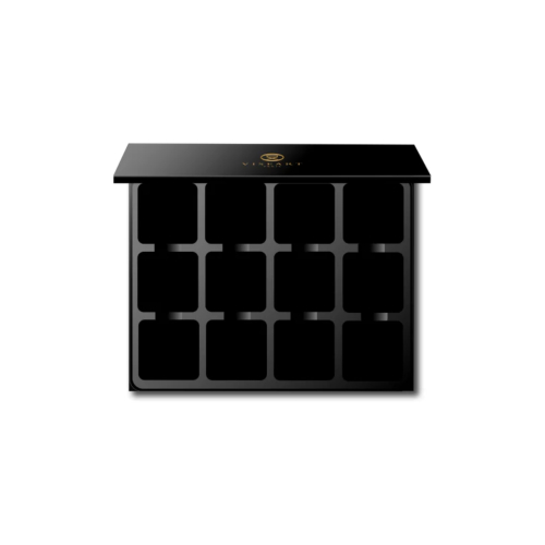 Viseart - Palette magnetica vuota Empty 12-Well VISEPRO™